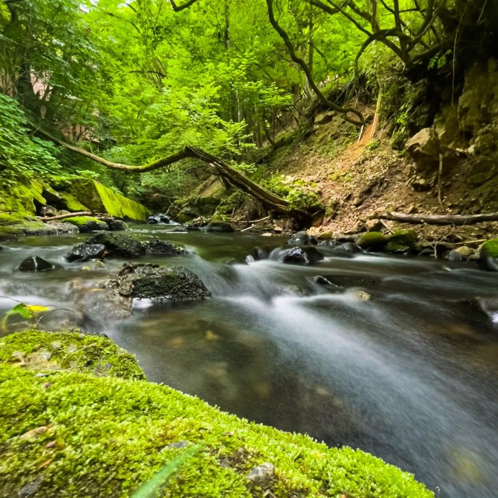 ハイシーズン中の山間渓流